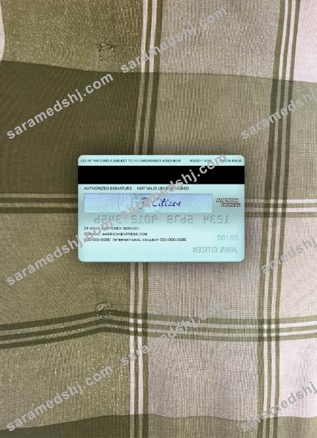 USA California BlueVine bank Blue Cash Everyday® Card from AMEX photolook back